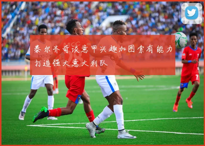 泰尔齐奇谈意甲兴趣加图索有能力打造强大意大利队