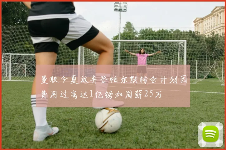 曼联今夏放弃签帕尔默转会计划因费用过高达1亿镑加周薪25万