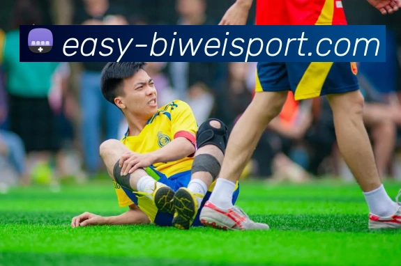 必威体育APP 封面图